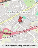 Articoli Sportivi - Dettaglio Noventa Padovana,35027Padova