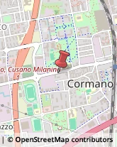 Stazioni di Servizio e Distribuzione Carburanti Cormano,20032Milano