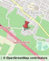 Falegnami Erbusco,25030Brescia