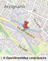 Trasporti Celeri Arzignano,36071Vicenza