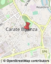 Erboristerie Carate Brianza,20841Monza e Brianza