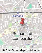 Osterie e Trattorie Romano di Lombardia,24058Bergamo