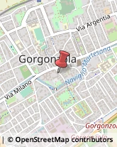 Consulenza di Direzione ed Organizzazione Aziendale Gorgonzola,20064Milano