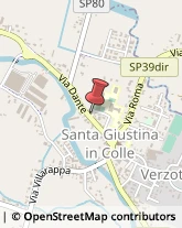 Autofficine e Centri Assistenza Santa Giustina in Colle,35010Padova