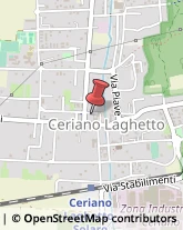 Enoteche Ceriano Laghetto,20816Monza e Brianza