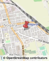 Autotrasporti Nogara,37054Verona