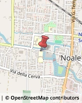 Scuole Pubbliche Noale,30033Venezia