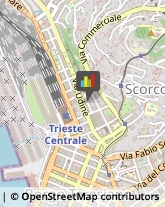 Autofficine e Centri Assistenza Trieste,34135Trieste