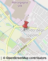 Aziende Agricole Gazoldo degli Ippoliti,46040Mantova