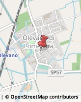 Aziende Agricole Olevano di Lomellina,27020Pavia