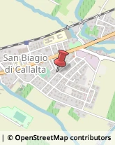 Consulenza Informatica San Biagio di Callalta,31048Treviso