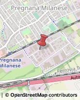 Falegnami Pregnana Milanese,20010Milano