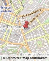 Palestre e Centri Fitness Trieste,34133Trieste