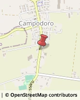 Trasporti Campodoro,35010Padova