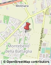 Aziende Agricole Montebello della Battaglia,27054Pavia