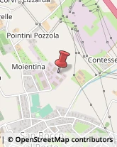 Zootecnia - Prodotti,26865Lodi