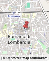 Articoli da Regalo - Dettaglio Romano di Lombardia,24058Bergamo