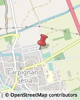 Aziende Agricole Carpignano Sesia,28064Novara