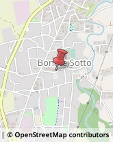 Animali Domestici - Toeletta Bonate Sotto,24040Bergamo