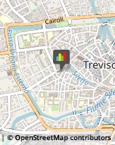 Articoli per Ortopedia Treviso,31100Treviso