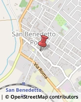 Erboristerie San Benedetto Po,46027Mantova