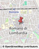 Casalinghi Romano di Lombardia,24058Bergamo