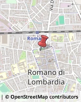 Articoli da Regalo - Dettaglio Romano di Lombardia,24058Bergamo