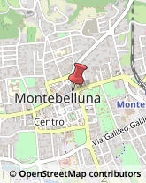 Licei - Scuole Private Montebelluna,31044Treviso