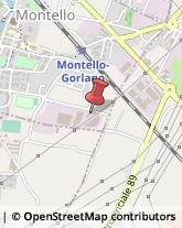 Bottoni Montello,24060Bergamo