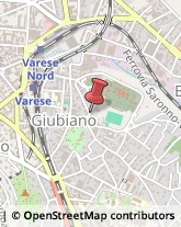 Consulenze Speciali Varese,21100Varese