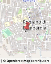 Giornalai Romano di Lombardia,24058Bergamo