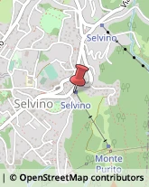 Agenzie Immobiliari Selvino,24020Bergamo