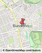 Profumerie Biassono,20853Monza e Brianza