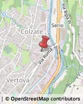 Vetrai Colzate,24020Bergamo