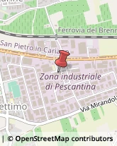 Carne - Lavorazione e Commercio Pescantina,37026Verona