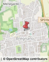 Traduttori ed Interpreti Bregnano,40016Como