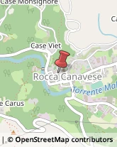 Piante e Fiori - Dettaglio Rocca Canavese,10070Torino