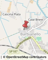 Autotrasporti Barbianello,27041Pavia
