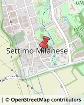 Otorinolaringoiatria - Medici Specialisti Settimo Milanese,20019Milano