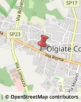 Estetiste Olgiate Comasco,22077Como