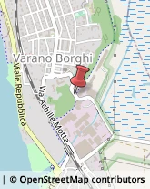 Agenti e Rappresentanti di Commercio Varano Borghi,21020Varese