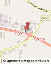 Via Padania, 24,37050Oppeano