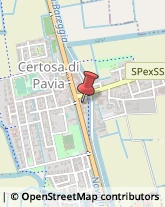 ,27012Pavia