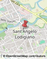 Fiere, Saloni e Mostre - Enti Organizzatori Sant'Angelo Lodigiano,26866Lodi