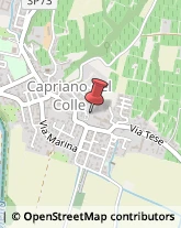 Scuole Pubbliche Capriano del Colle,25020Brescia