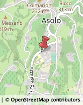 Aziende Sanitarie Locali (ASL) Asolo,31011Treviso