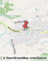 Bar e Caffetterie Solto Collina,24060Bergamo