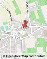 Scuole Materne Private Santa Lucia di Piave,31025Treviso