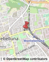 Licei - Scuole Private Montebelluna,31044Treviso