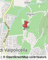 Fiere, Saloni e Mostre - Enti Organizzatori Negrar di Valpolicella,37024Verona